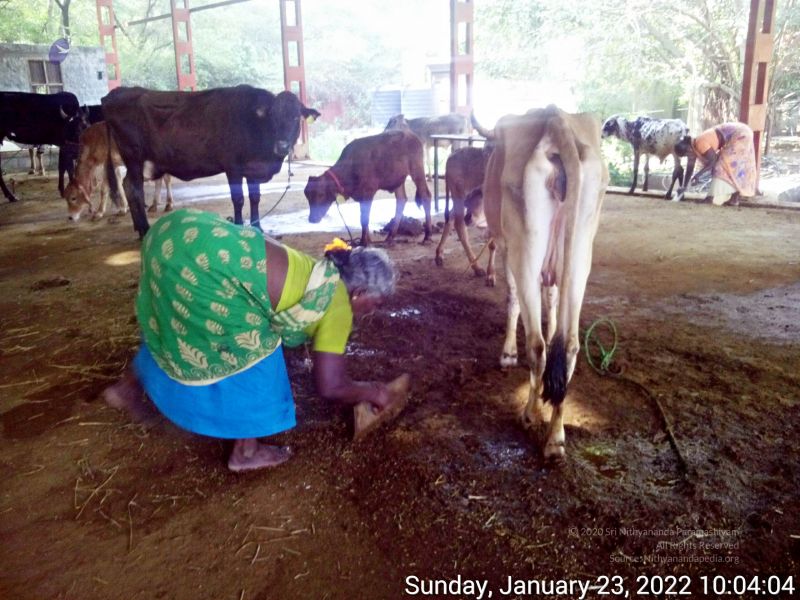 File:20220123 100403 11.jpg