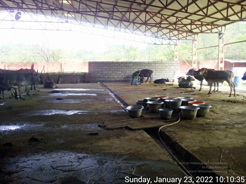 File:20220123 101034 11.jpg