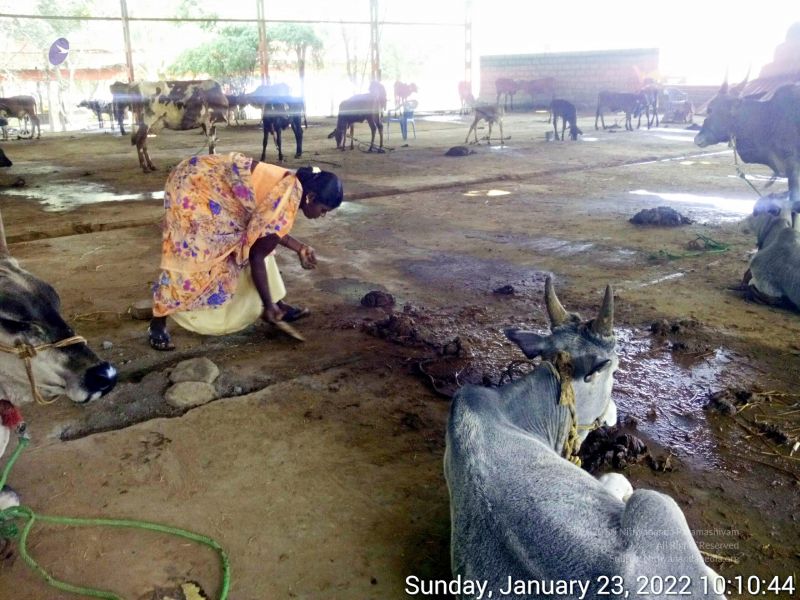 File:20220123 101044 11.jpg