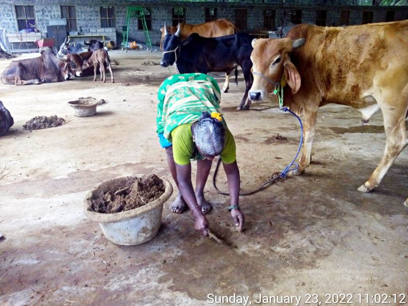 File:20220123 110212 11.jpg