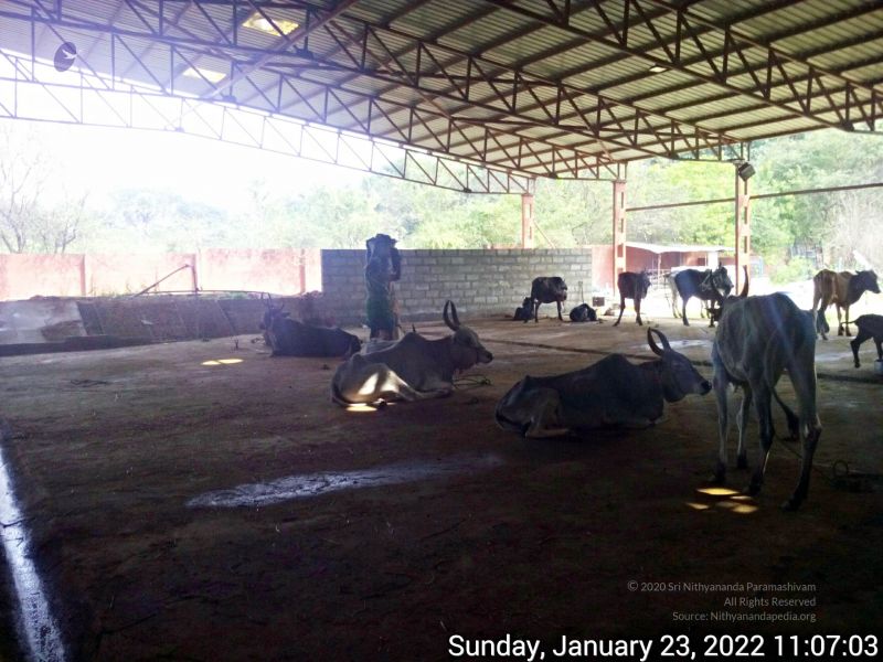 File:20220123 110702 11.jpg