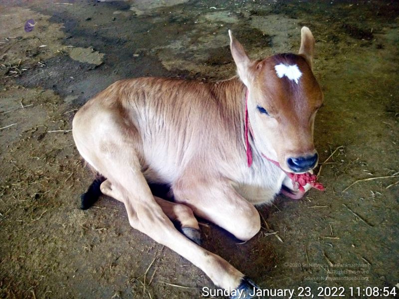 File:20220123 110854 11.jpg