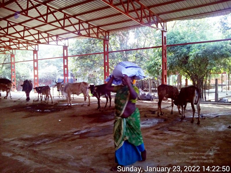 File:20220123 142250 11.jpg