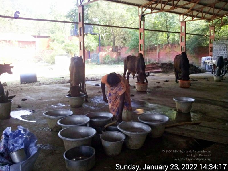 File:20220123 143417 11.jpg