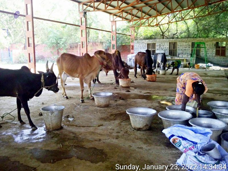 File:20220123 143434 11.jpg