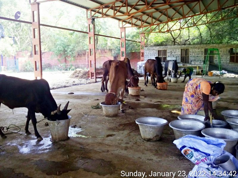 File:20220123 143442 11.jpg