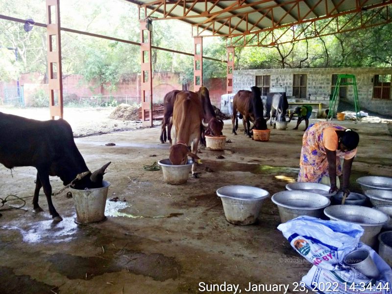 File:20220123 143443 11.jpg