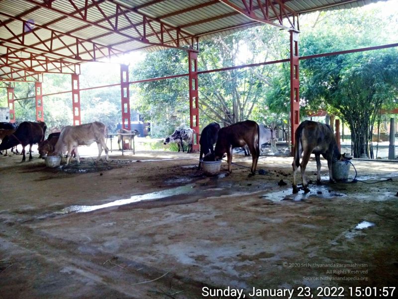 File:20220123 150156 11.jpg