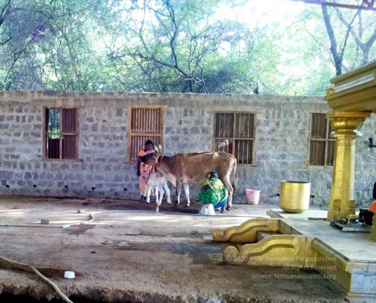 File:20220123 155853 11.jpg