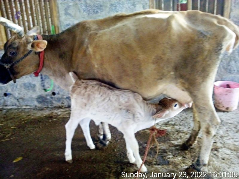 File:20220123 160105 11.jpg