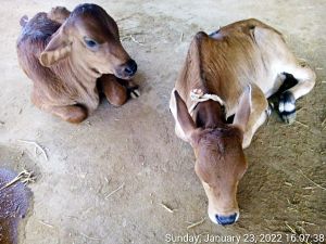 20220123 160738 11.jpg