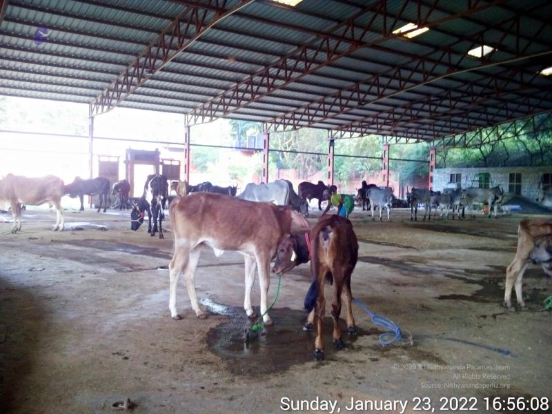 File:20220123 165607 11.jpg