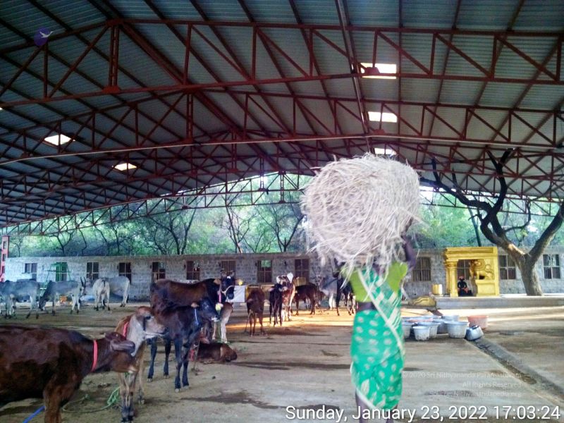 File:20220123 170323 11.jpg