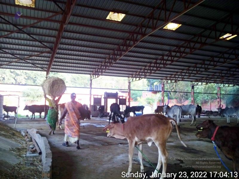 File:20220123 170413 11.jpg