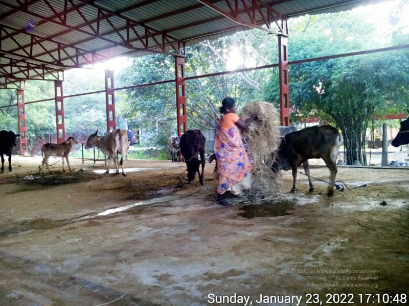 File:20220123 171047 11.jpg