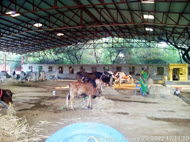 File:20220123 171109 11.jpg