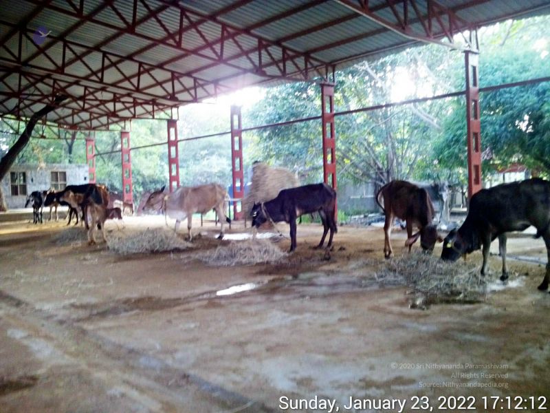 File:20220123 171211 11.jpg