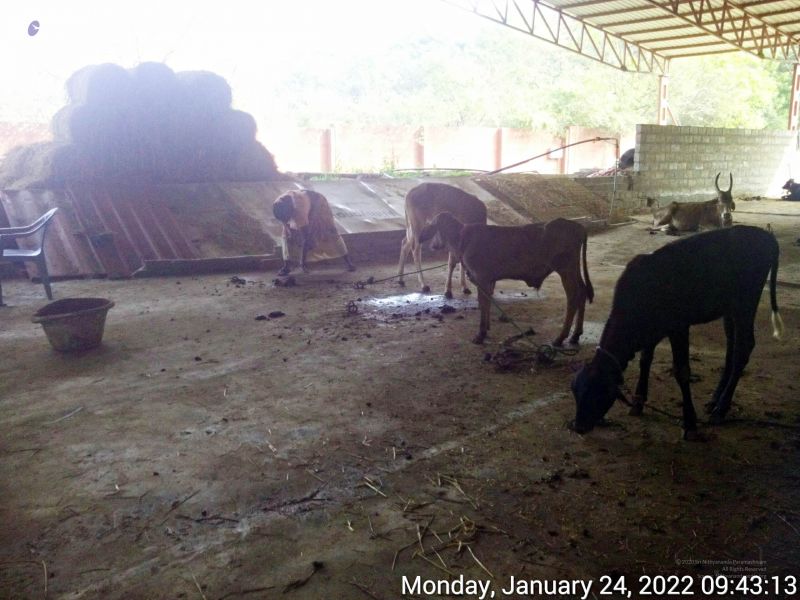 File:20220124 094313 11.jpg