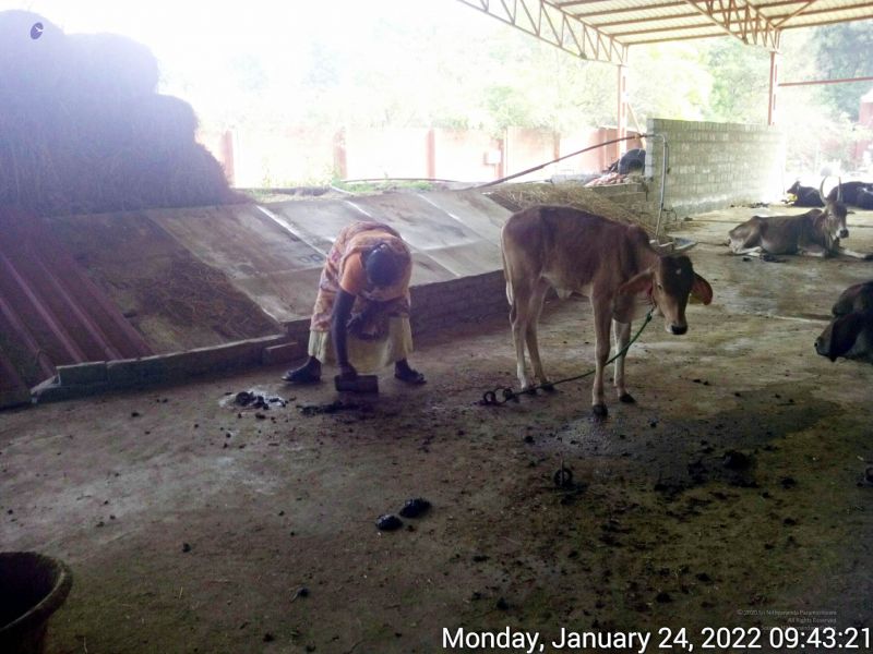 File:20220124 094321 11.jpg