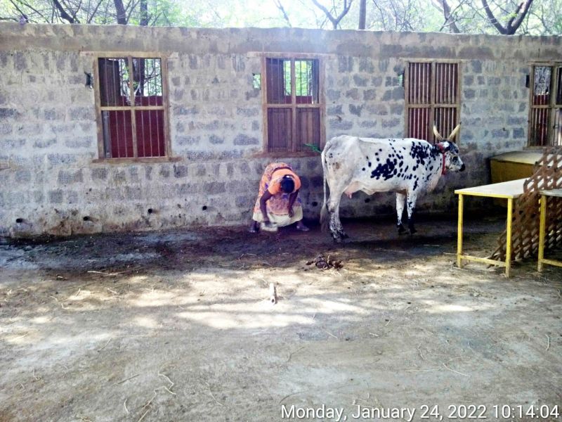 File:20220124 101403 11.jpg