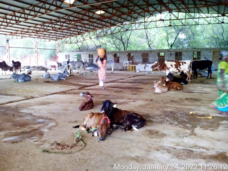 File:20220124 112612 11.jpg