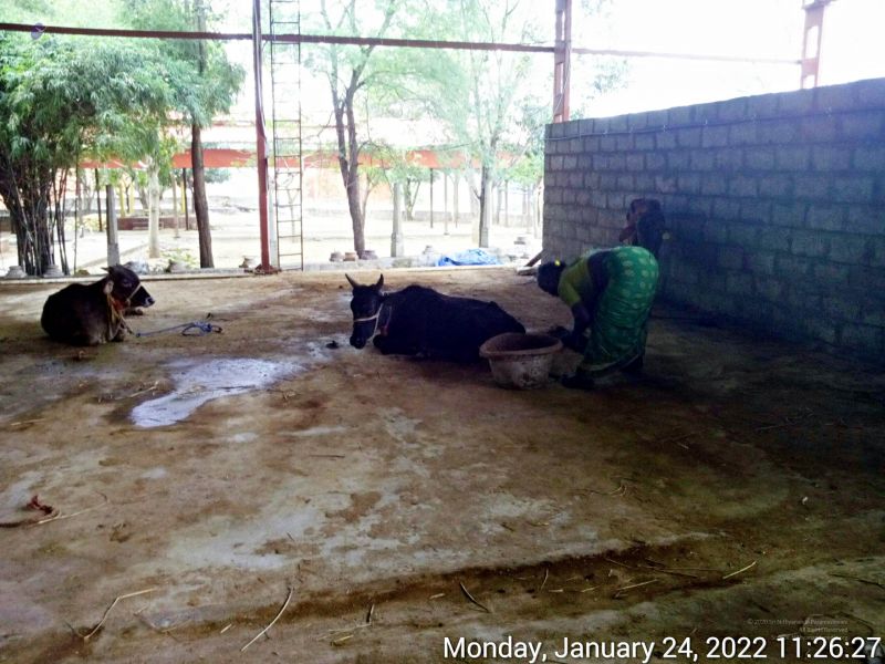 File:20220124 112627 11.jpg