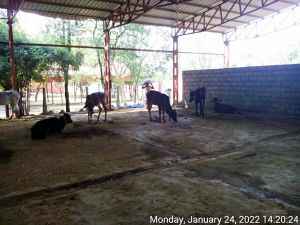 20220124 142023 11.jpg