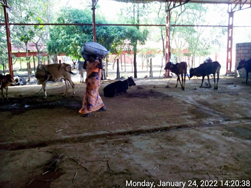 File:20220124 142038 11.jpg