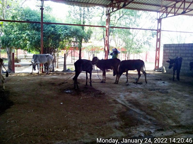 File:20220124 142045 11.jpg