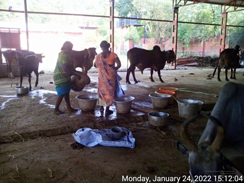 File:20220124 151204 11.jpg