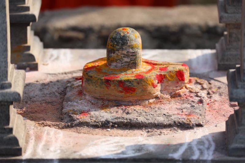 File:20220131 1001 273125003 FB.jpg