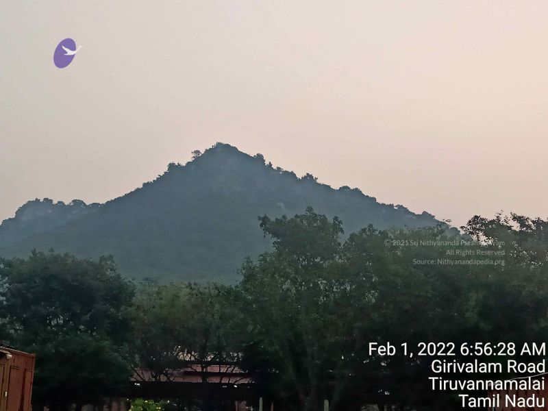 File:20220201 065628.jpg