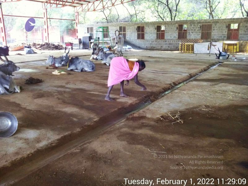 File:20220201 112908.jpg