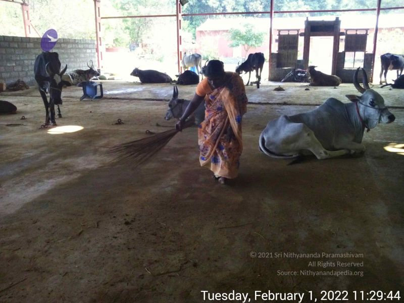 File:20220201 112943.jpg