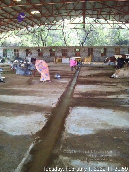 File:20220201 112959.jpg