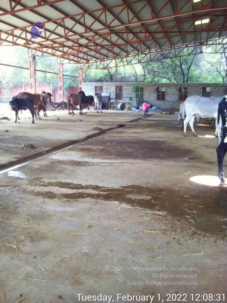 File:20220201 120831.jpg