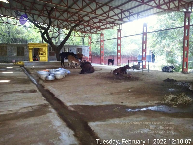 File:20220201 121007.jpg