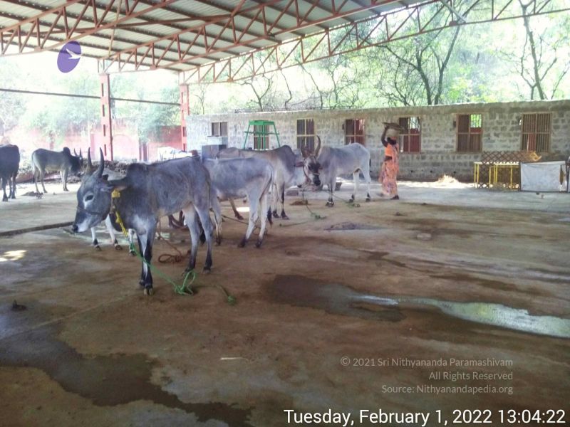 File:20220201 130422.jpg