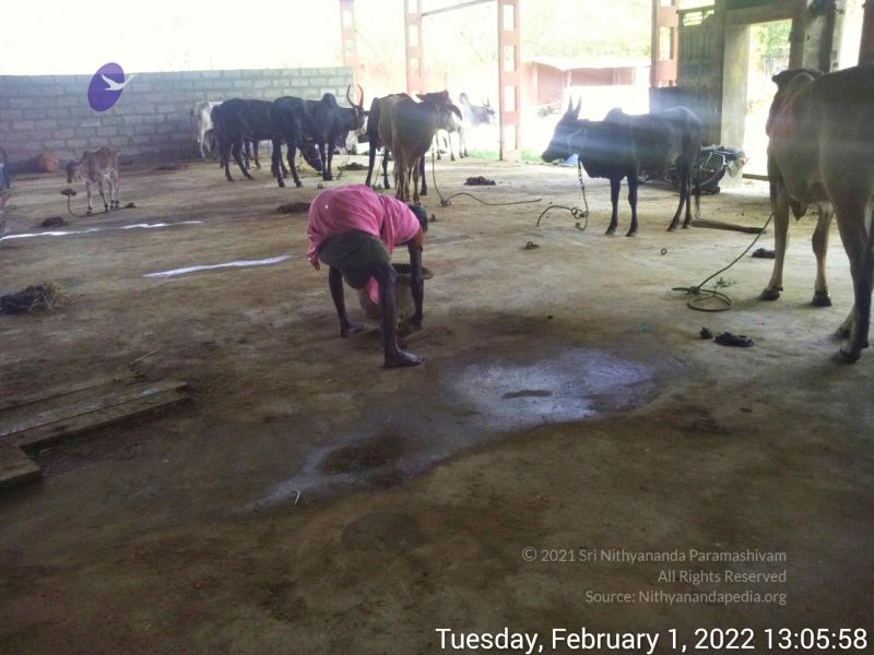 File:20220201 130557.jpg