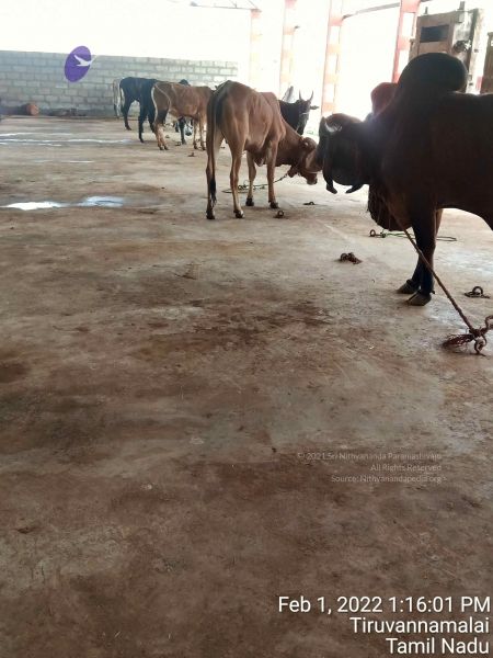 File:20220201 131601.jpg