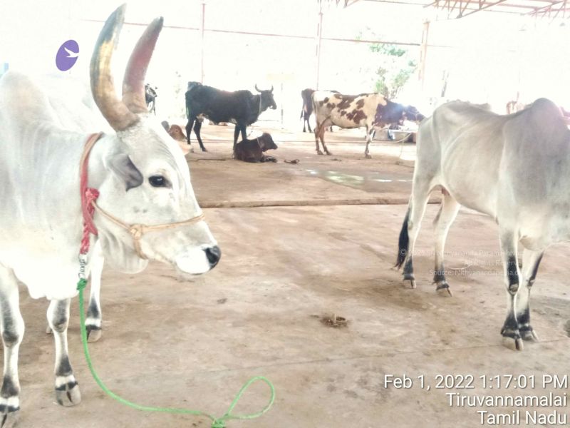 File:20220201 131701.jpg