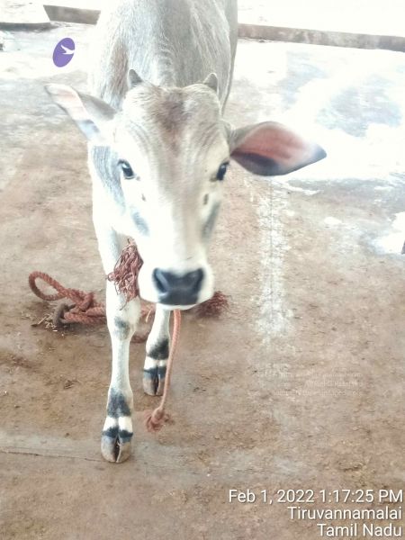 File:20220201 131725.jpg