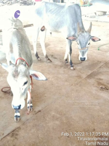 File:20220201 131736.jpg