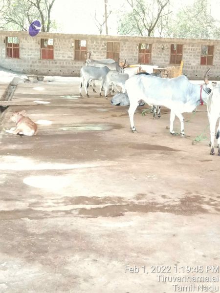 File:20220201 131945.jpg