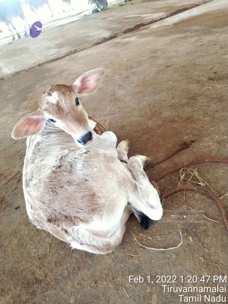 File:20220201 132047.jpg