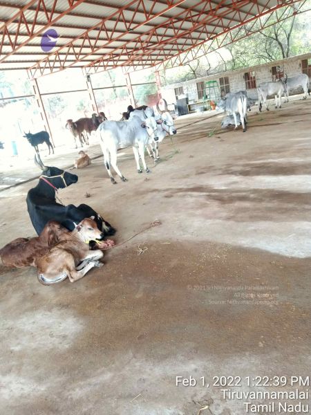 File:20220201 132239.jpg