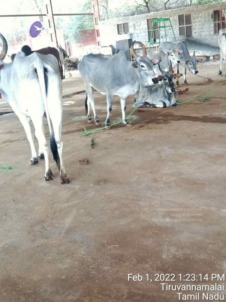 File:20220201 132314.jpg