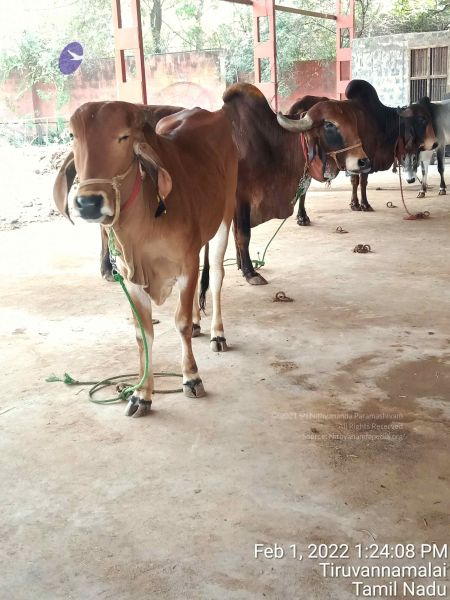 File:20220201 132408.jpg