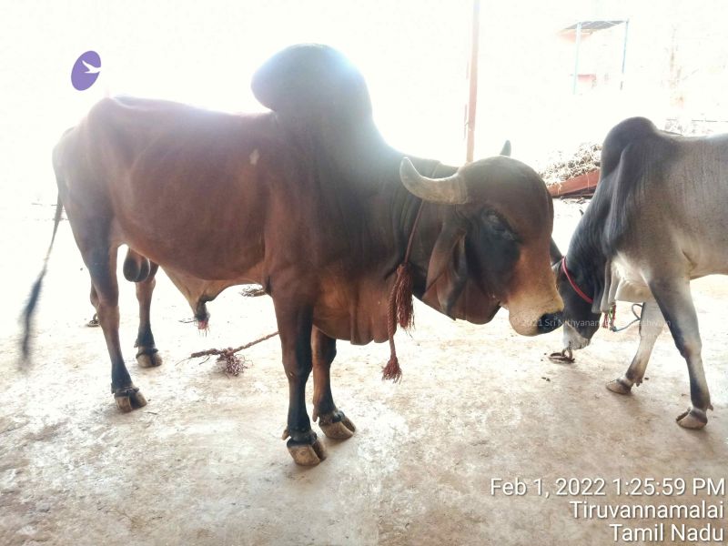 File:20220201 132559.jpg