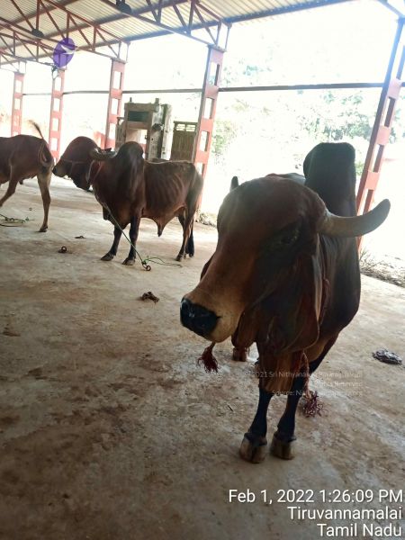 File:20220201 132609.jpg